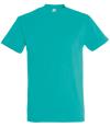 11500 Imperial Heavy T-Shirt Caribbean Blue colour image